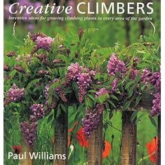 Creative Climbers: Inventive Ideas for Growing Plants in Every Area of the Garden