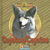 Coyotes/Coyotes (Animals That Live in the Desert/Animales del Desierto)