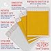Grandstand 3/4-Inch Tyvek Event Wristbands for easy VIP identification, Neon Orange, 500 Count