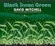Black Swan Green: A Novel