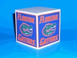 Florida Note Cube