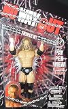 WWE Wrestling PPV Pay Per View Series 21 Action Figure HHHIMAGE