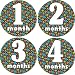 Wired Monthly Baby Bodysuit Stickers
