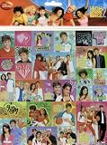 set of 2 Disney High School Musical Stickers