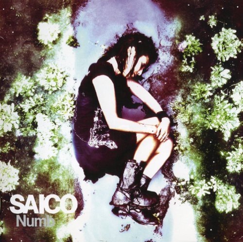 NUMB