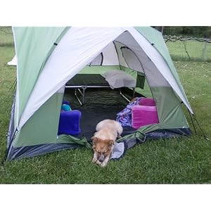 backyard camp