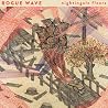 Bild des Albums von Rogue Wave