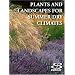 Plants and Landscapes for Summer-Dry Climates of the San Francisco Bay Region