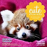 Cute Overload Mini Wall Calendar 2016