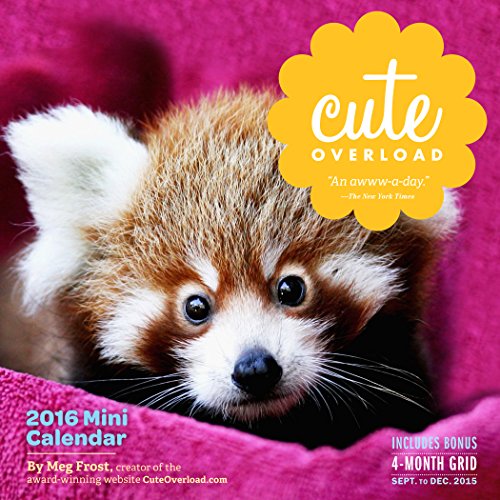 Cute Overload Mini Wall Calendar 2016, by Meg Frost
