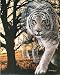 Gordon Semmens Spirit Of The White Bengal Tiger Print - 16