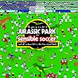 We Grew Up On a Diet of Jurassic Park and Sensible Soccer (And All We Have Left Is This Lousy Record Label)