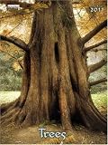 Trees 2011 Decor Calendar - 