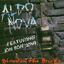Blood On The Bricks (Rm)
