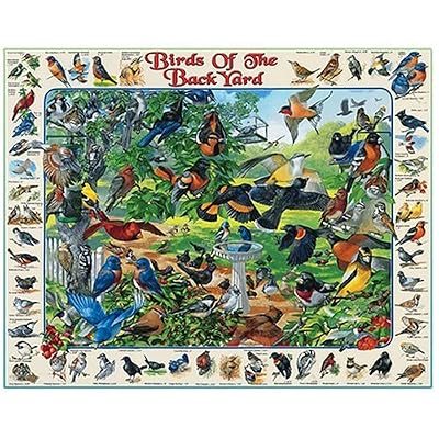 White Mountain Puzzles Birds of the Backyard