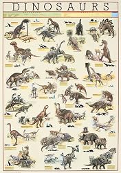 Dinosaurs Poster - Laminated