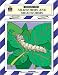 Silkworms and Mealworms Thematic Unit