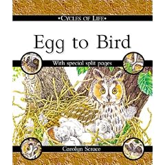Egg to Bird (Cycles of Life (Hardcover Franklin Watts))