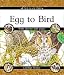 Cycles of Life: Egg to Bird
