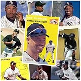 Various Brands San Francisco Giants Ray Durham 20 Trading Card Set