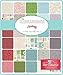 Frivols #10 Collectors Tin Sweetwater The Cookie Exchange Quilt Kit Moda Fabrics
