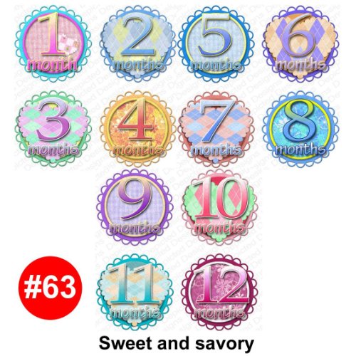 SWEET SAVORY Baby Month Onesie Stickers Baby 