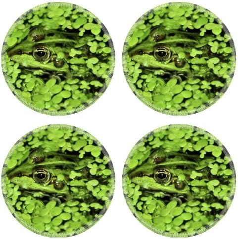 Aquatic Float Nature Frog Pond Round Coaster (4 Piece) Set Fabric Rubber 5 Inch Size Liil Coaster Cup Mug Can Water Bottle Drink Coasters Stain Resistance Collector Kit Kitchen Table Top Desk