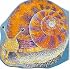 Pocket Snail (Pocket Pals (Safari Ltd))