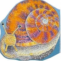 Pocket Snail (Pocket Pals (Safari Ltd))