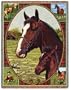 Thoroughbred Horse Woven Throw Blanket