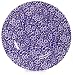 Queen's China Blue Calico 10-1/2-Inch Dinner Plate