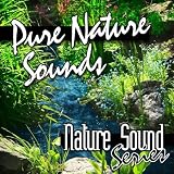 Nature Sound Series Pure Nature Sounds