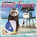 Ferret Frenzy 2009 Wall Calendar