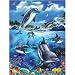 Dolphin Family 100 Piece Jigsaw Puzzle