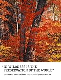 In Wildness Is the Preservation of the World