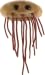 E Coli Plush Doll