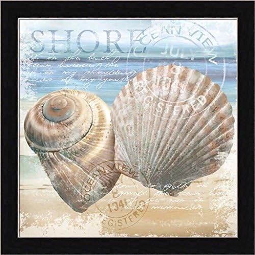The Shore Conrad Knutsen Seashell Beach House Framed Art Print Wall Decor Picture