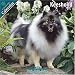 Keeshond 2010 Wall Calendar #10049-10