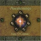 Awakenings by  Tony O'Connor 
