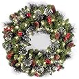 National Tree 24-Inch Crestwood Spruce Wreath with Silver Bristle/Cones/Red Berries/Glitter/50 Clear Lights - Plug In