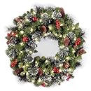 National Tree 24-Inch Crestwood Spruce Wreath with Silver Bristle/Cones/Red Berries/Glitter/50 Clear Lights - Plug In