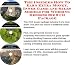 Book The Insider's How To Earn Extra Money, Inner Game and Sales Models for Wedding Dresses Biz 3 CD Package