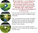 Search : The Down and Dirty Super Marketing, Success Principles and Inner Game for Storage Trunks On-line Businesses 3 CD Pack
