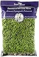 SuperMoss (26912) Spanish Moss Preserved, Grass, 8oz (200 Cubic Inch)