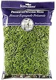 SuperMoss (26912) Spanish Moss Preserved, Grass, 8oz (200 Cubic Inch)