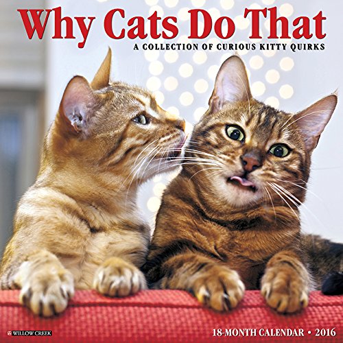 2016 Why Cats Do That Wall Calendar