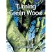 Turning Green Wood