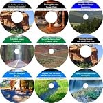 The Accelerated 9 Audio CD No Money Down, Cash Creating, Real Estate Mentoring System book cover