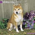 Shiba Inu 2012 Wall Calendar #10089-12