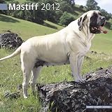 Mastiff Wandkalender 2012 [Kalender]